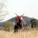 봄바람