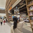 스타무인텔 | 23 경기 파주 1박2일 여행 (๑• ω •๑) 파주스타필드/헤이리예술마을/셀프사진관/프로방스마을/파주맛집들