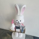 조아조아 | 상봉역 쭈꾸미 맛집 추천 조아죽네쭈꾸미 후기