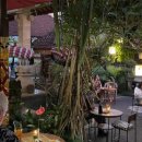 가우리 GAURI 이미지