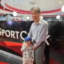 토론토 블루 제이스의 월드시리즈 진출을 축하합니다. 이미지