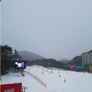 엘리시안강촌 스키강습 바나나스키강습센터