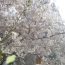 명문갈비 이미지