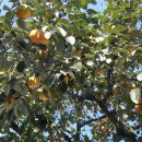 용계경로당 이미지