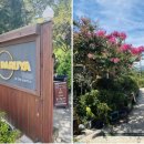 약식동원 다루야 이미지