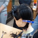 나는 우리집 미용사 이미지