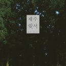 위미리[서] 네이버블로그