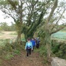 어음2리마을 이미지