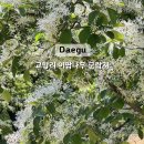 (주)여행과나무 이미지
