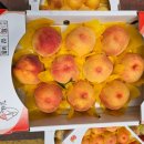 보광상회 이미지