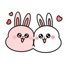 베리애견미용 이미지