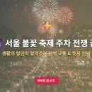 주정차단속-33 | [서울세계불꽃축제 2025] 오늘 여의도 불꽃쇼 100배 즐기기: 명당 &amp; 교통 통제 총정리! 🎆