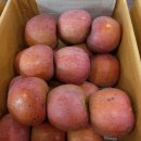 은석농장 이미지