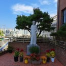 건강체조,요가 | 용인동백성요셉성당 시니어아카데미/건강체조/실버요가
