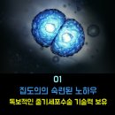 줄기세포가슴성형후기 자연스러워서 만족해요