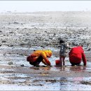 갯벌이야기 이미지