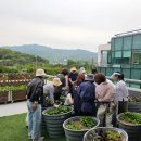 힐링원예 가드닝 | 🌿 자연과 함께하는 치유의 시간! &lt;힐링 가드닝 클래스&gt; 후기 ✨