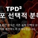 스타브릿지파트너스 이미지
