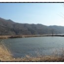 삼나무집펜션 이미지