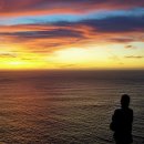 피스테라 이미지