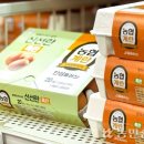 포천축협 에그빌사업단 | [농협 축산물 통합브랜드] 깐깐한 생산, 투명한 유통…달걀시장 선점 ‘시동’ [26년 3월 16일 뉴스]