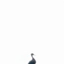 용마루 이미지