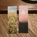 영창약국 | [부산/남포] 남포동 친환경 감성 카페추천_그리다 부부 (제로웨이스트, 핸드드립커피)