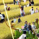 성주자동차정비 이미지