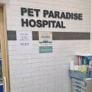 펫 파라다이스 동물병원 이미지