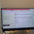 24시 더블유 동물의료센터 | 반송동동물병원 추천 24시동탄시티동물의료센터 고양이 건강검진 후기