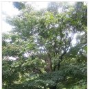 소호목장 이미지