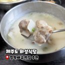 화성식당 | 제주도 접짝뼈국 맛집, 화성식당 내돈내산 후기