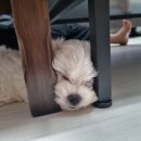 민성세차장 이미지