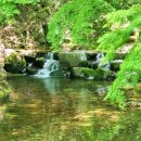 다래 전통찻집 이미지