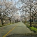 백전농장 이미지