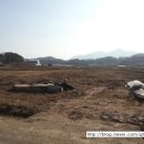 금현농장 이미지