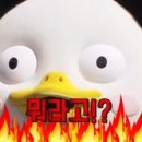 이호동물병원 이미지