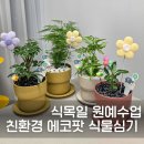 생명나무유치원 | 식목일 식물 심기 수업 친환경 에코팟으로 진행하는 어린이집 · 유치원 원예활동
