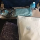 인천(ICN)-시드니(SYD) 대한항공 A330-300 탑승후기