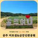 피어나공주 | 공주 아이와 가볼만한곳 추천! 미르섬 & 금강신관공원 주차 포토존