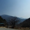 선경 양봉 네이버블로그