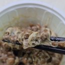 참발효 | 미생물박사 참발효 낫또 후기｜국산 콩 100% 대용량 70g 낫또 추천