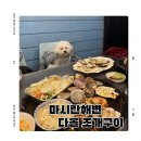 다올 | 애견동반 을왕리조개구이 무한리필집 다올 내돈내산 후기