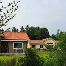 stay봄날 이미지