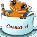 CREMA 이미지