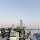 후포항 | 울진 후포항 2월 볼락 캐스팅 선상 낚시 후기 : 박초딩호