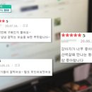 나도주개
