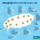 너와랑2층집 이미지