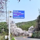 저단31 이미지