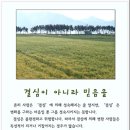 바로모아